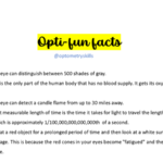Opti-fun: Fun Optical Facts 10 Opti-fun facts