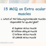 15 MCQ on extra ocular muscles