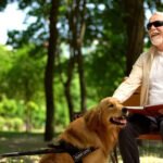 Organisation for the blinds,Blind Organizations 9 blind organization