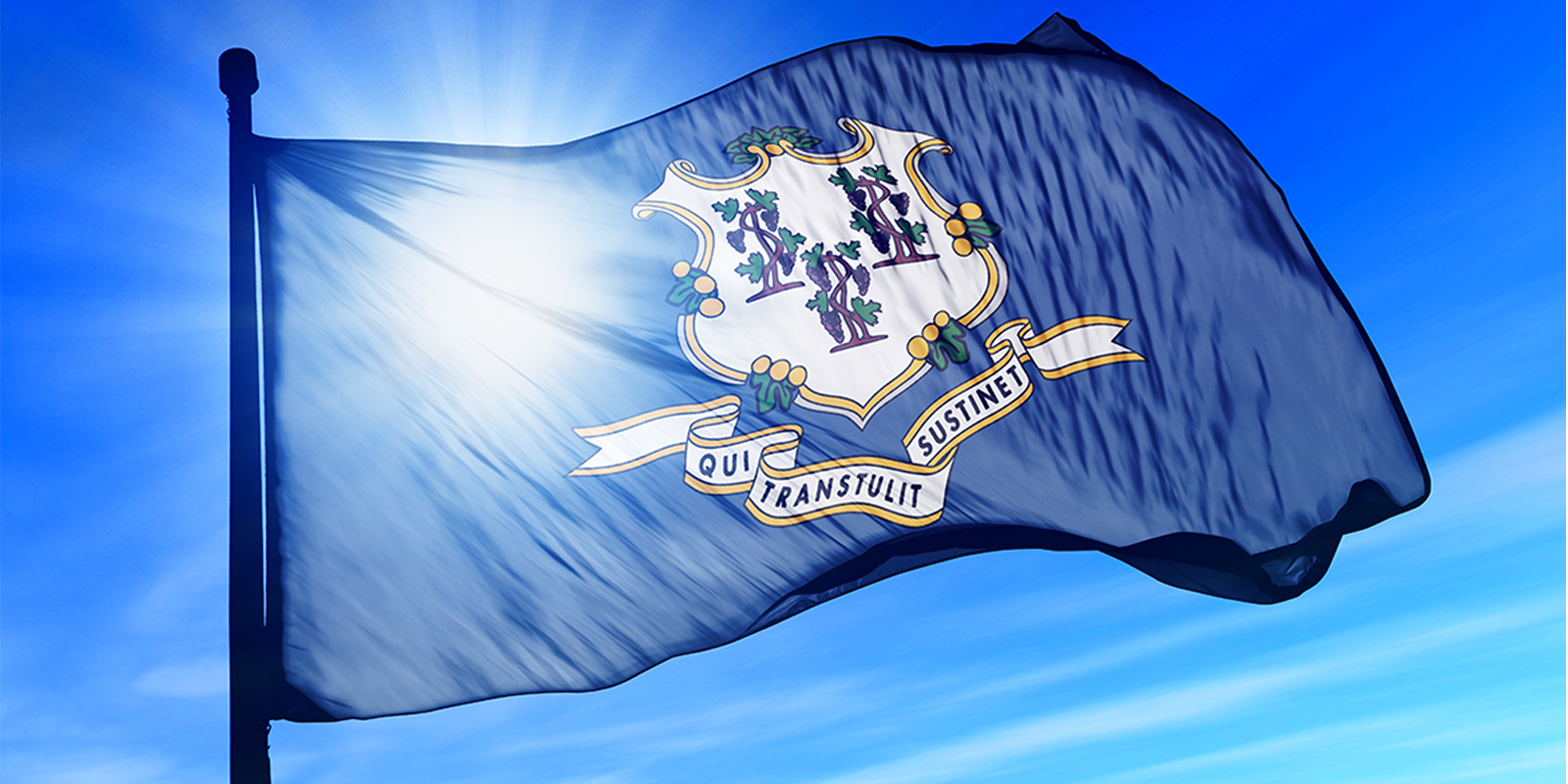 Connecticut doctors secure Medicaid payment parity for optometry 1 Connecticut State Flag Hero